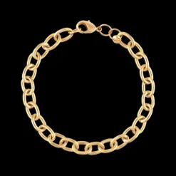 Alexa Leigh Paloma Link Bracelet