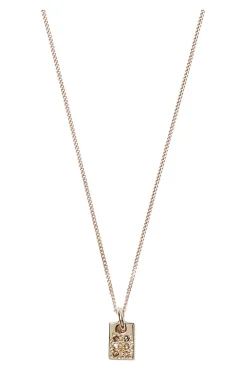 Chan Luu Petite Domino Necklace in Yellow Gold