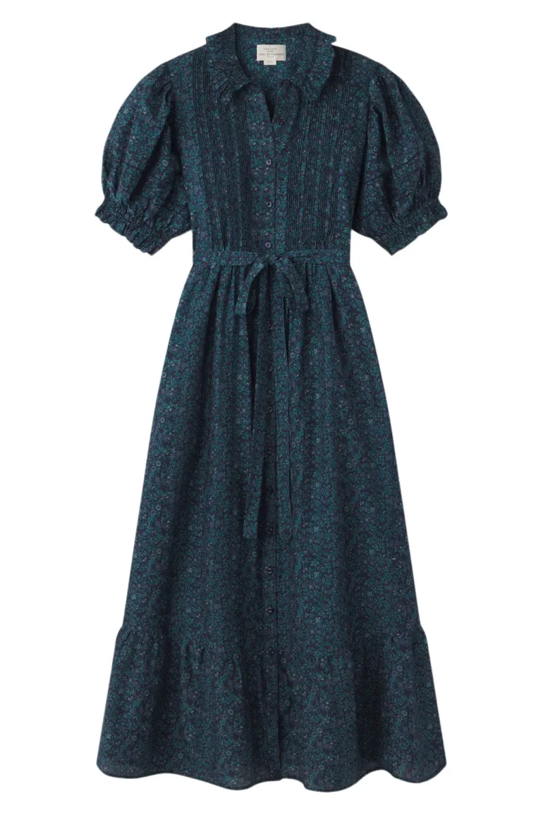 Trovata Birds of Paradis Camille Dress in Blue Ridge Ditsy